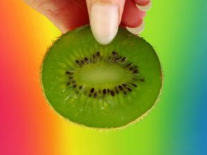 slice of kiwi kept in fingers on colorful background