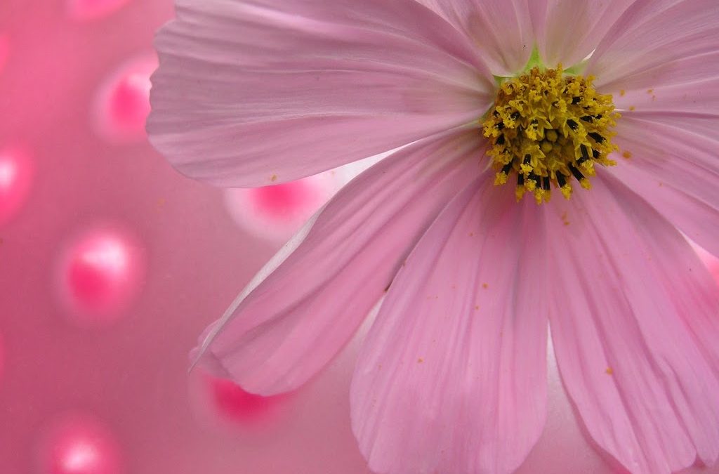 5 Cancer Problems that Respond to Acupuncture
