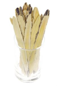 dreamstime_2043796astragalus