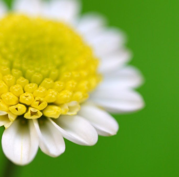Acupuncture Effective for Allergic Rhinitis