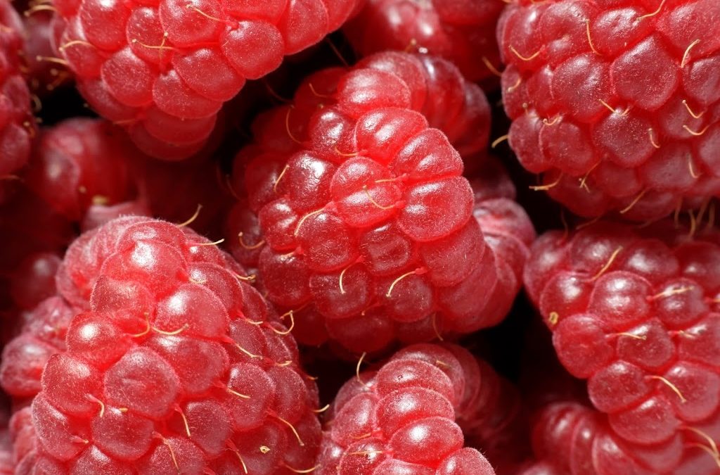 7 Steps to a Healthy Menopausal Diet