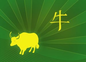 year-of-the-ox