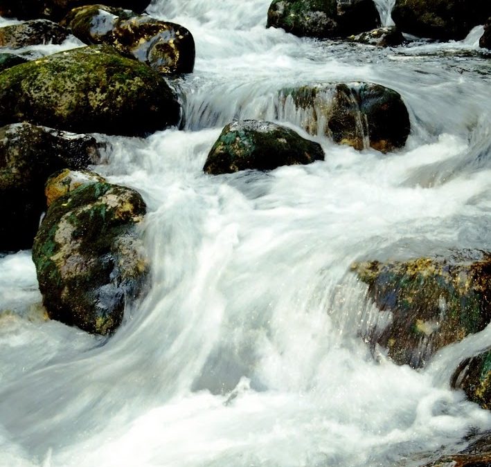 The Will of Water