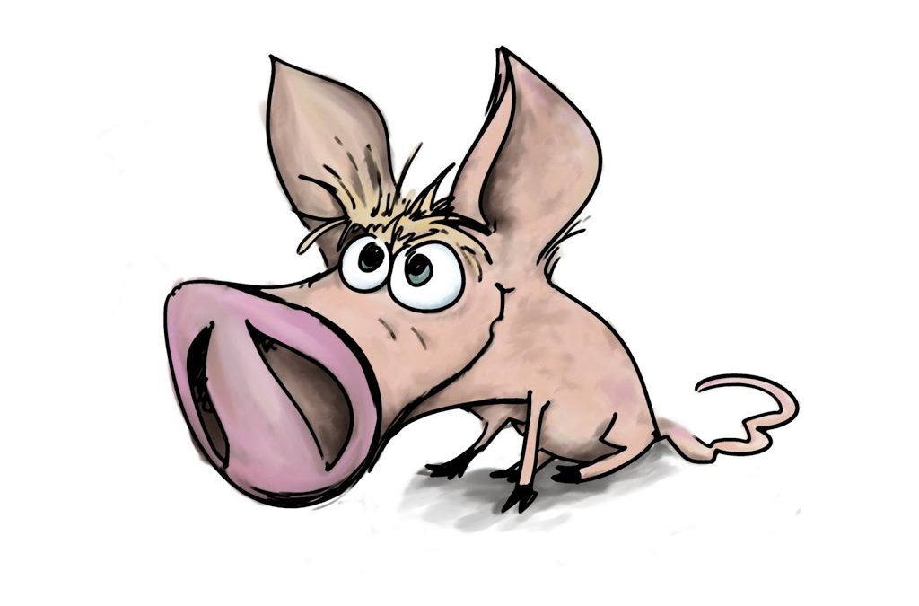 What is Swine Flu? How Can You Prevent Infection?