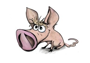 piglet