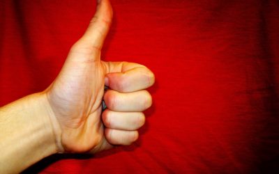 Author (and My Mom : ) Linda Edelstein Ph.D.