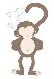 monkey-ques
