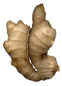 ginger