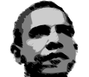 The Element of Wood and President Obama 1 Year Later