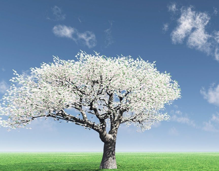 Spring Into Action With Chinese Medicine