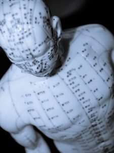 acupuncture-model