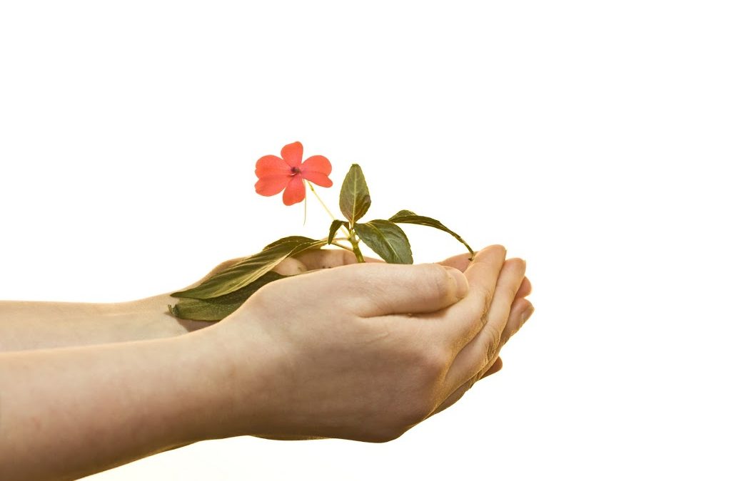 Crises Can Lead to Personal Growth