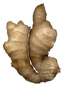ginger