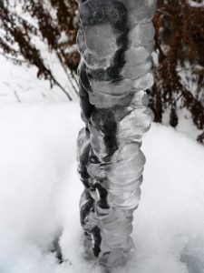 icicle