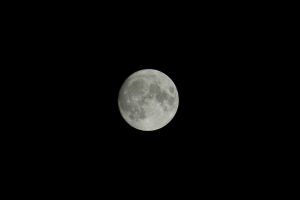 full-moon