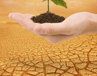 Volunteer Acupuncturists Return To Haiti