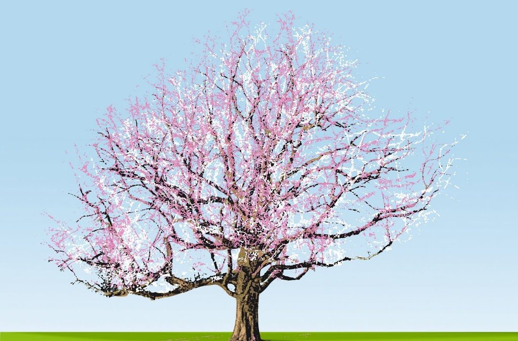 The Element of Spring: Wood