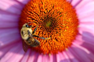 dreamstimefree_924657