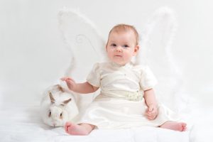 dreamstimefree_1807665