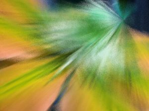 dreamstimefree_893187
