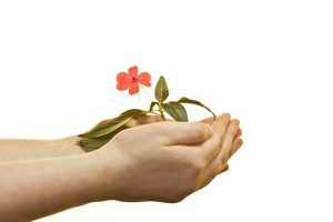 dreamstimefree_8030526