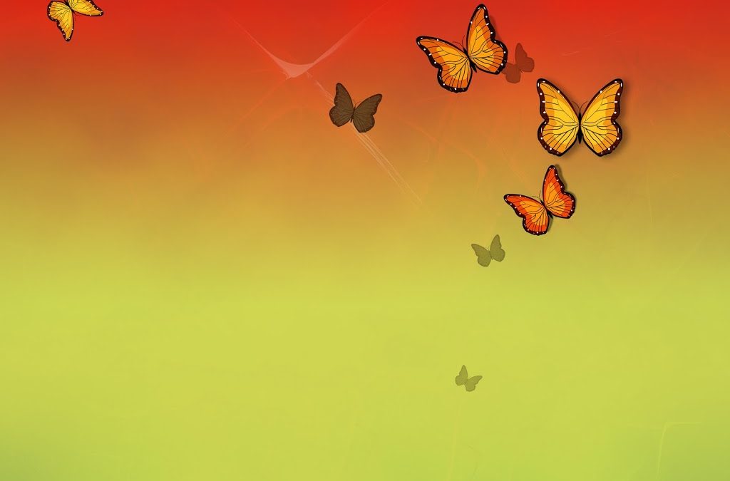 Well Being Increases With Our Ability To Make Choices