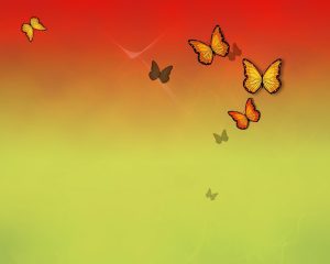 dreamstimefree_1154058butterflies