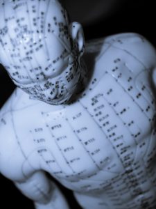 acupuncture-model