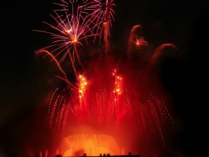 dreamstimefree_6584459