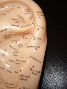 ear-model-close-up