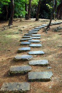 dreamstimefree_18378041.jpg-path-166x250