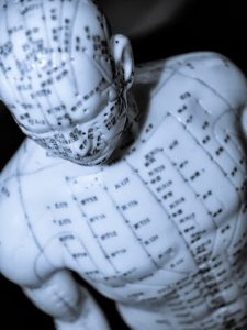 acupuncture-model