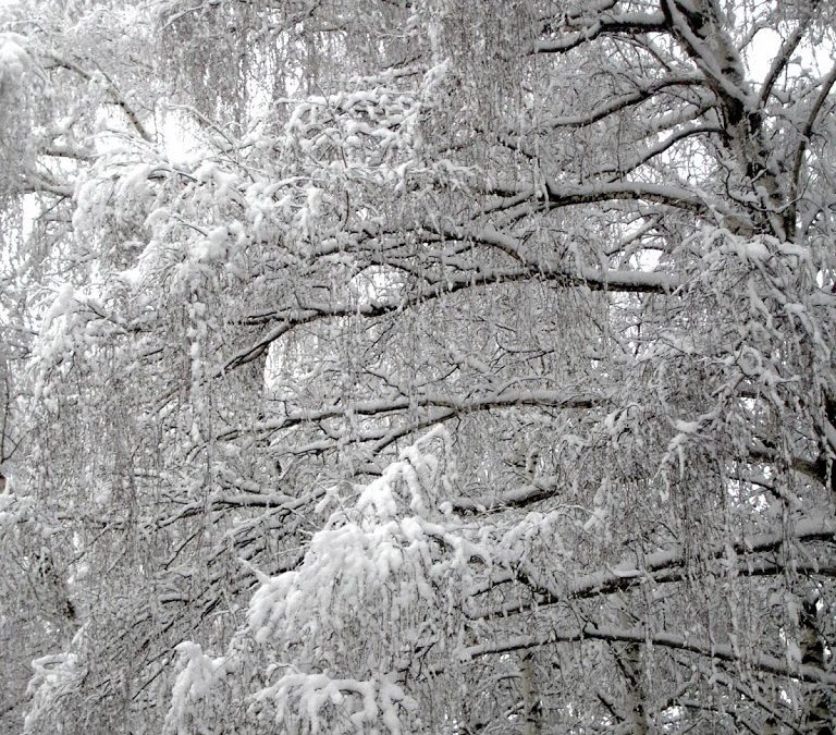 4 Easy Winter Strategies To Improve Your Health and Happiness