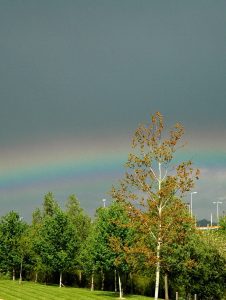 dreamstimefree_120296