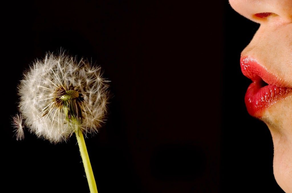 The “Pollen Vortex” Is Here – Chinese Medicine Can Help
