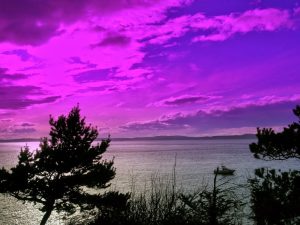 dreamstimefree_614759