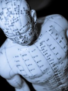 acupuncture-model