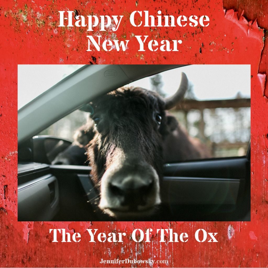 Year of the Ox my visual 52441752 1 1024x1024