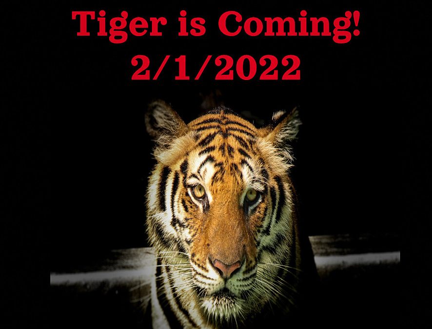 Year of the Tiger