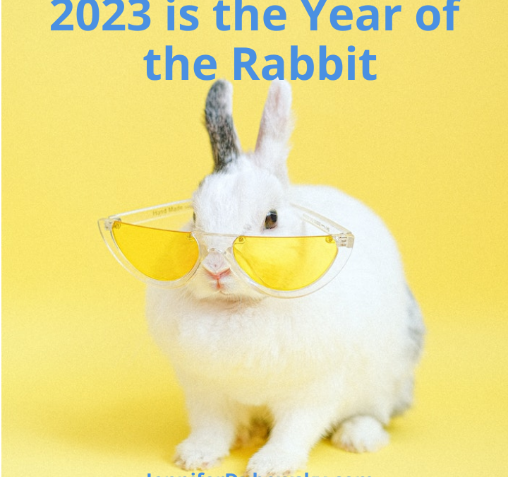 2023 Is The Year Of The Water Rabbit