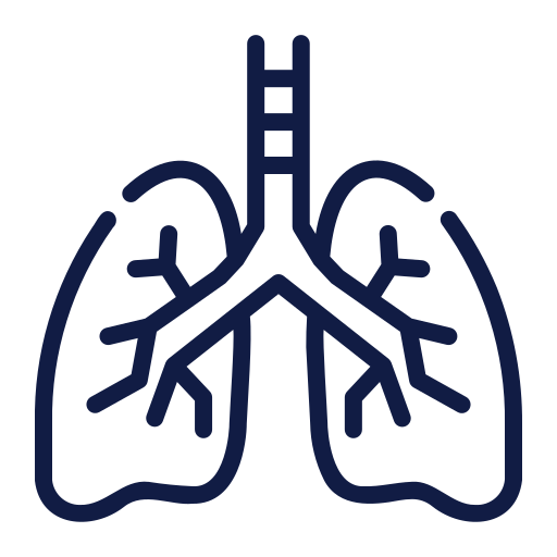 Lungs