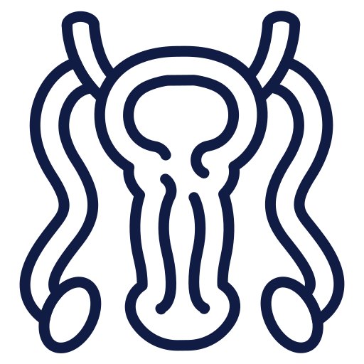 Fertility And Chinese Medicine Internal Organ