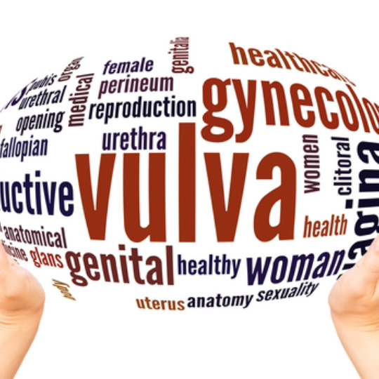 Vulvodynia Graphic